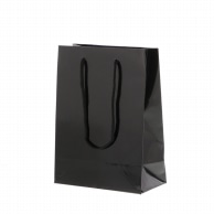 >HEIKO 紙袋 ブライトバッグ T-3 黒(グロスPP貼り) 10枚