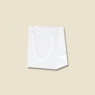 >HEIKO 紙袋 ブライトバッグ T-5 白 10枚