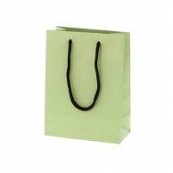 >HEIKO 紙袋 ブライトバッグ T-3 ピスタチオ(マットタイプ) 10枚