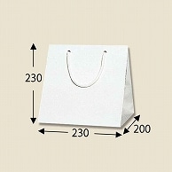 HEIKO 紙袋 ブライトバッグ C-2 シロ 10枚
