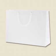 >HEIKO 紙袋 ブライトバッグ Y2 白 10枚