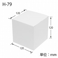 HEIKO 箱 白無地汎用ボックス H-79 10枚
