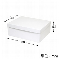 HEIKO 箱 白無地汎用ボックス カバン箱C 10枚