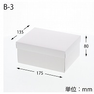 HEIKO 箱 エスプリボックス B-3 10枚