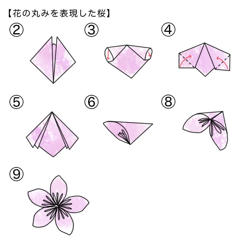 花の丸みを表現した桜の折り方