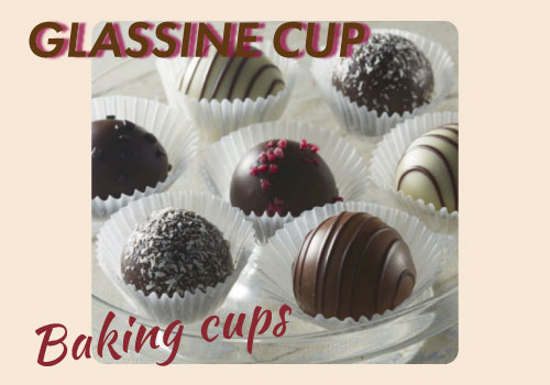 グラシンカップ