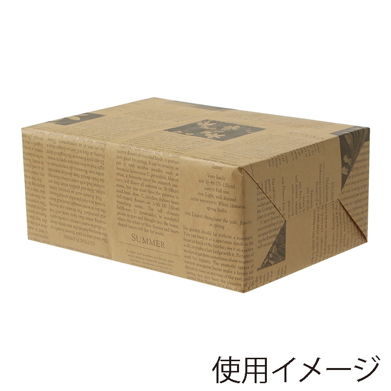 【直送品】 パックタケヤマ 包装紙　4切 ガーディアングレー　茶 XZT00291 1000枚/袋（ご注文単位2袋）