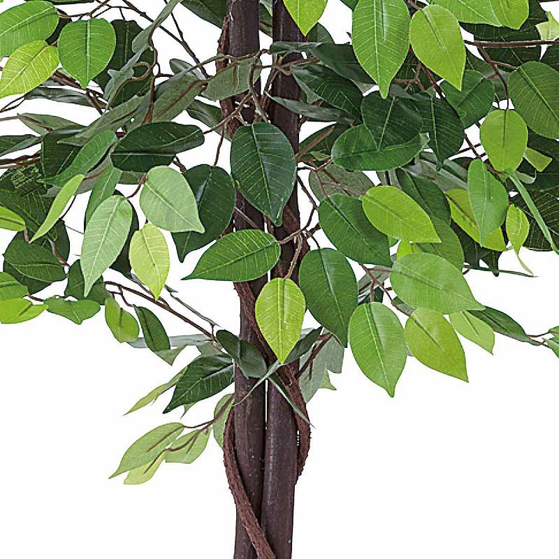 【直送品】ストア・エキスプレス 人工樹木　ベンジャミングリーン H150cm 61－780－34－1 1台（ご注文単位1台）