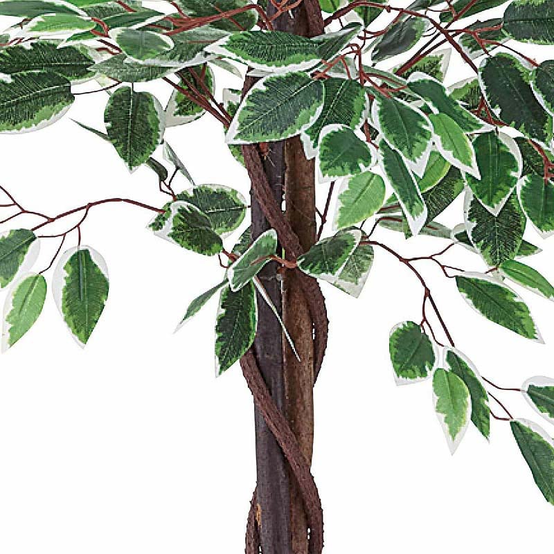 【直送品】ストア・エキスプレス 人工樹木　ベンジャミングリーン／ホワイト H150cm 61－780－34－2 1台（ご注文単位1台）