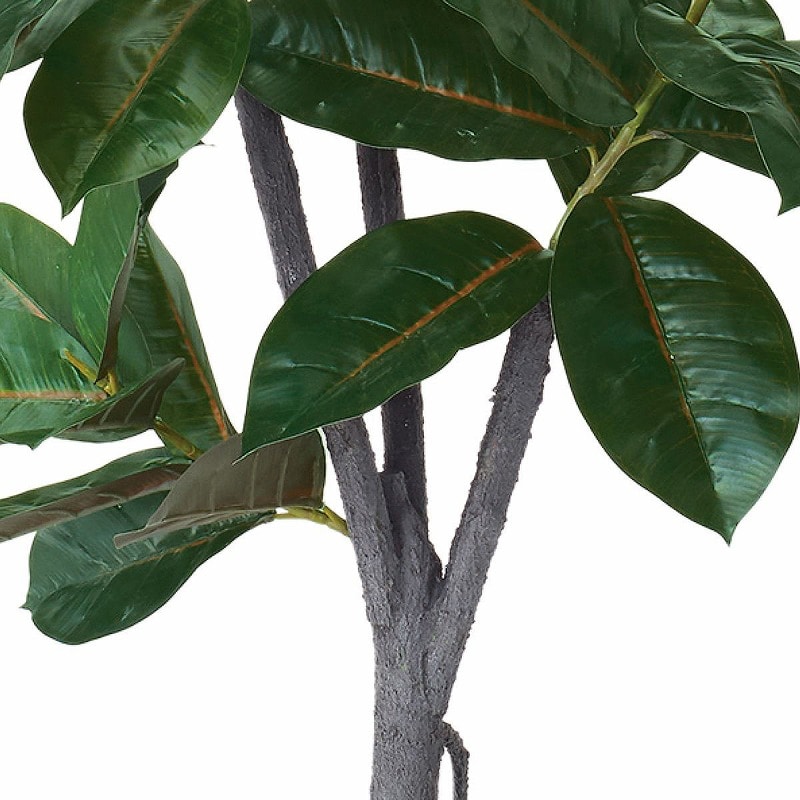 【直送品】ストア・エキスプレス 人工樹木　ゴムの木 H150cm 61－655－55－4 1台（ご注文単位1台）