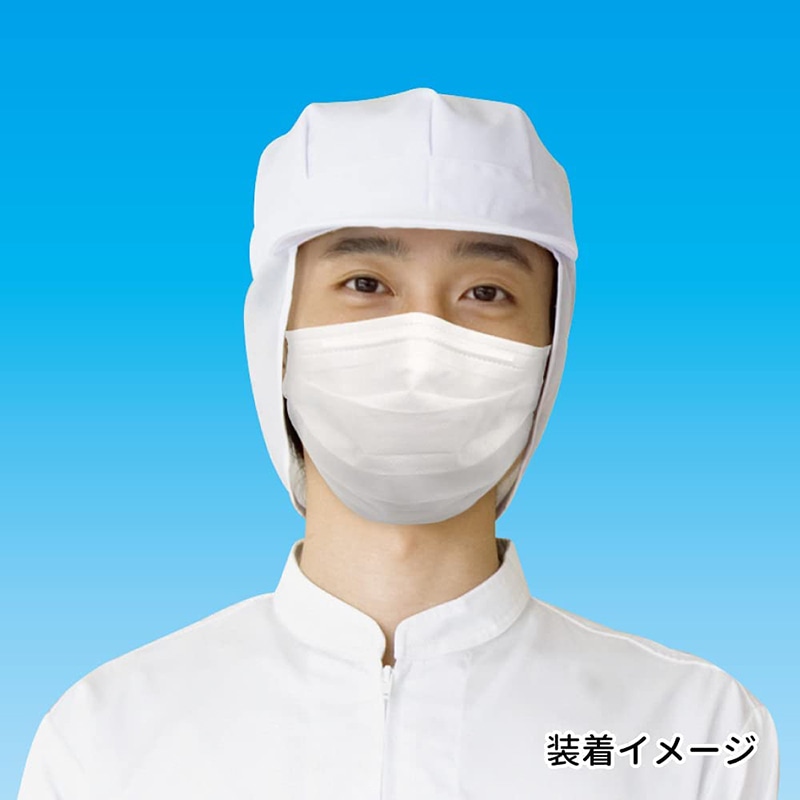 【直送品】 エスパック 業務用2層マスク ホワイト G2W10 100枚入/箱（ご注文単位30箱）