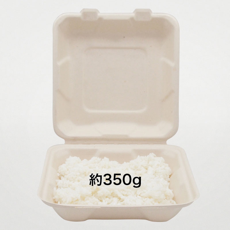 弁当容器　BB竹バガスランチボックス 200－200  50枚/袋（ご注文単位4袋）【直送品】