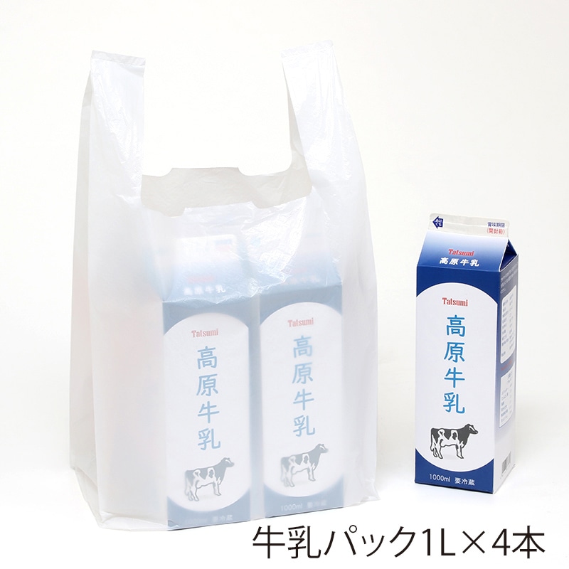 レジ袋 乳白 TA45 西日本45号、東日本45号 2000枚（100枚×20冊） 1ケース - 1