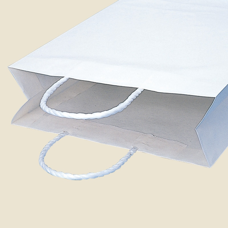 HEIKO 紙袋 スムースバッグ 26-16 白無地 25枚 4901755333237 通販 | 包装用品・店舗用品のシモジマ オンラインショップ
