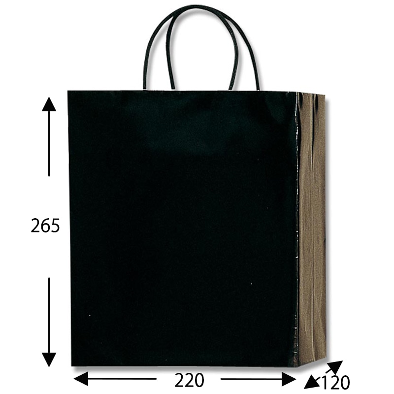 HEIKO 紙袋 PBスムースバッグ M-1 黒 10枚