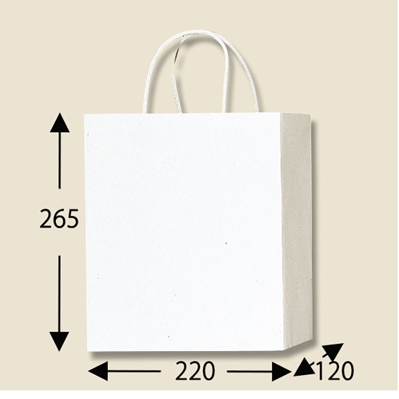 HEIKO 紙袋 PBスムースバッグ M-1 白 10枚