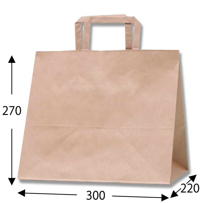 HEIKO 紙袋 Hフラットチャームバッグ 300-1(平手) 未晒無地 50枚 4901755356915 通販 | 包装用品・店舗用品の