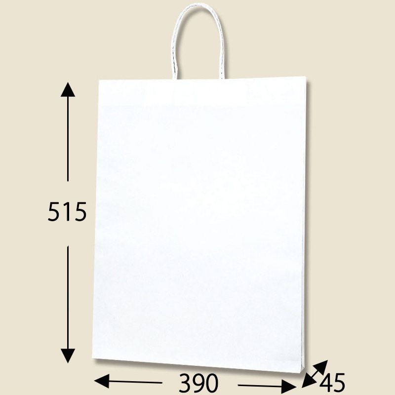 HEIKO 紙袋 Pスムースバッグ 39-4 白無地 25枚 4901755358902 通販 