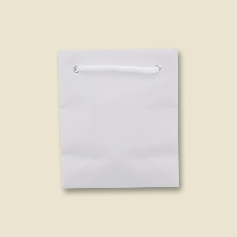 HEIKO 紙袋 ブライトバッグ T-5 白 10枚