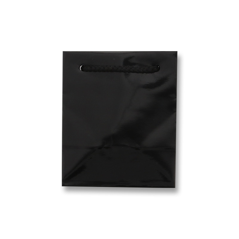 HEIKO 紙袋 ブライトバッグ T-5 黒(グロスPP貼り) 10枚 4901755558289 