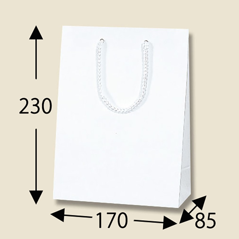 HEIKO 紙袋 Kバッグ T-3 N白エンボス 10枚