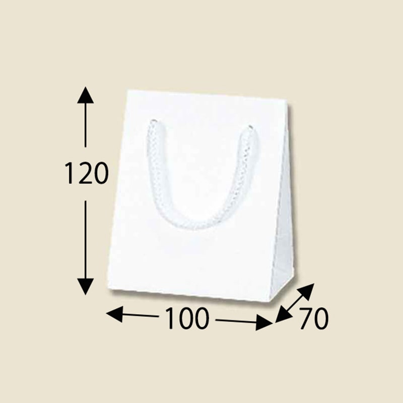 HEIKO 紙袋 Kバッグ T-5 N白エンボス 10枚