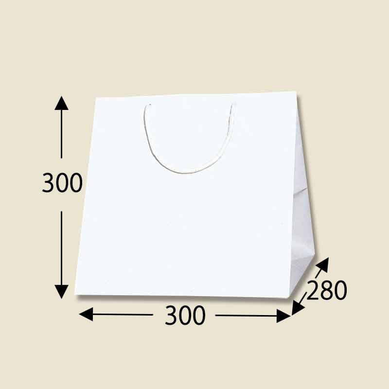 HEIKO 紙袋 ブライトバッグ C-0 シロ 10枚