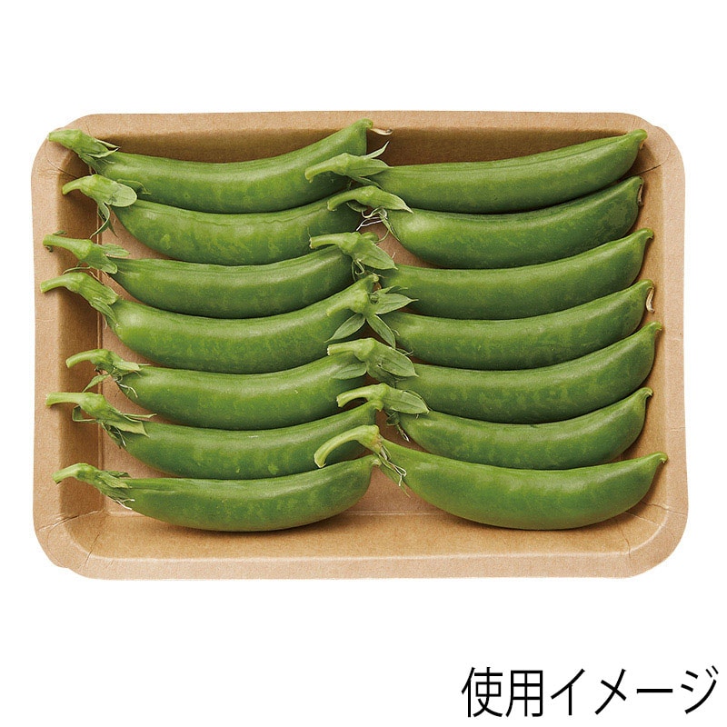 HEIKO 食品容器 クラフトフードトレー x 枚｜シモジマ包装