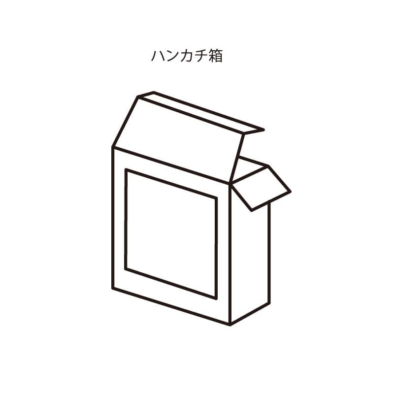 HEIKO 箱 白無地汎用ボックス ハンカチ箱 ハンカチ サック2 10枚
