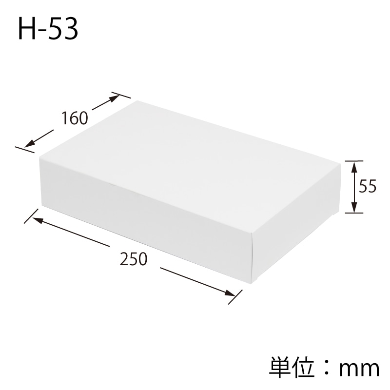 HEIKO 箱 白無地汎用ボックス H-53 10枚