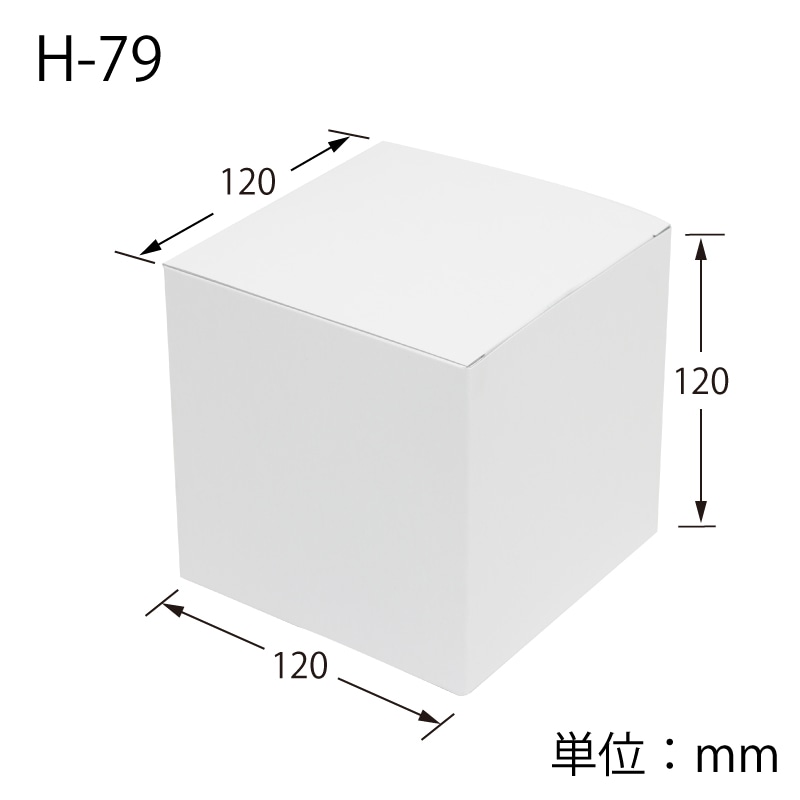 HEIKO 箱 白無地汎用ボックス H-79 10枚