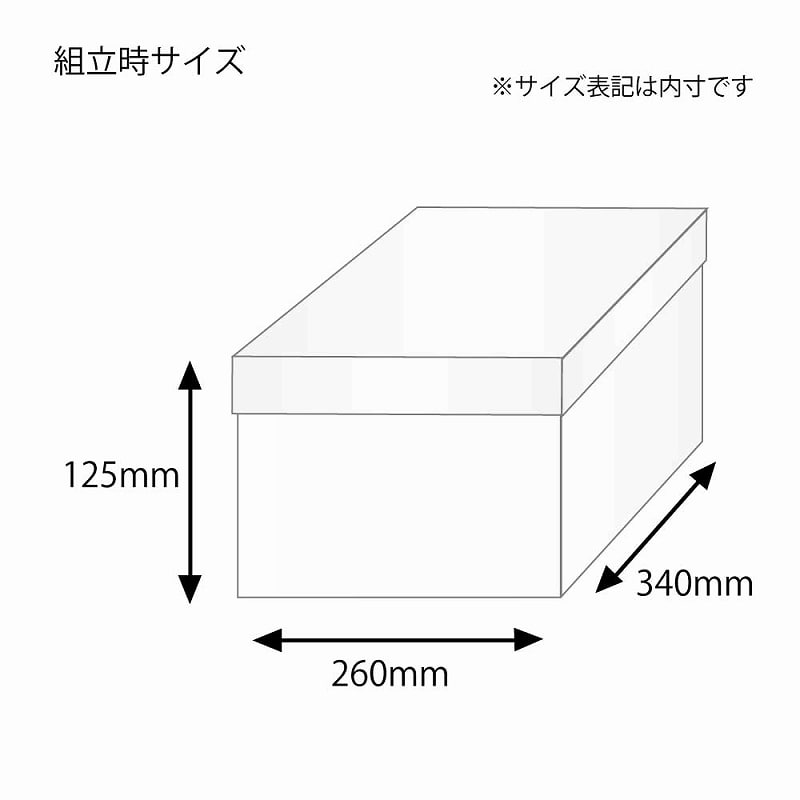 HEIKO 箱 バラエティボックス 0-14-125 10枚
