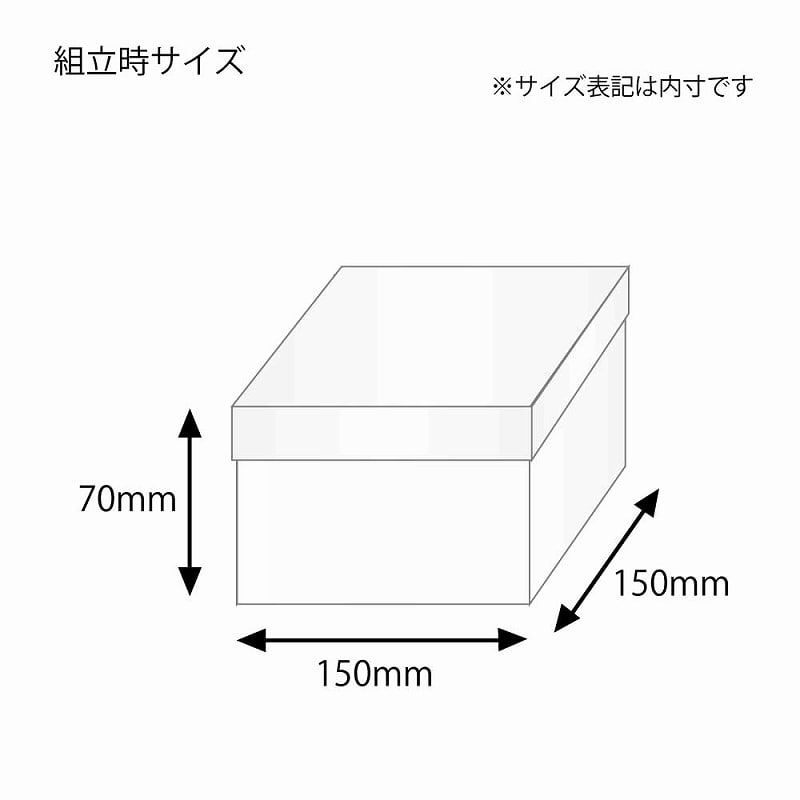 HEIKO 箱 バラエティボックス 0-22-70 10枚