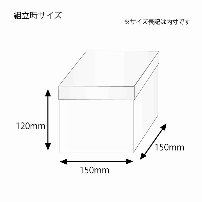HEIKO 箱 バラエティボックス 0-22-120 10枚