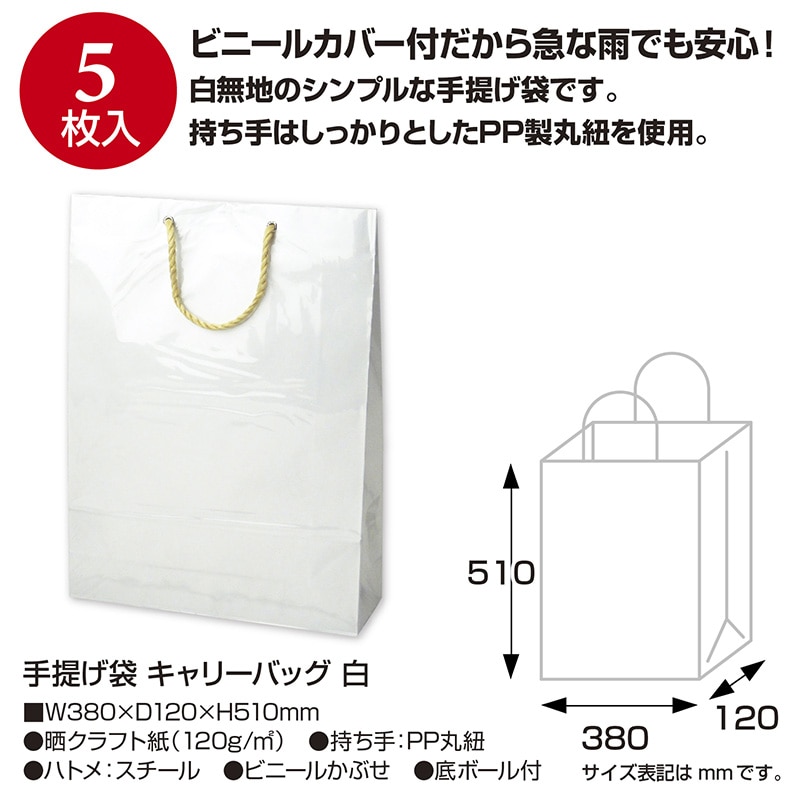 【直送品】 ササガワ 手提げ紙袋 キャリーバッグ　白 50－6733 1枚（ご注文単位5枚）