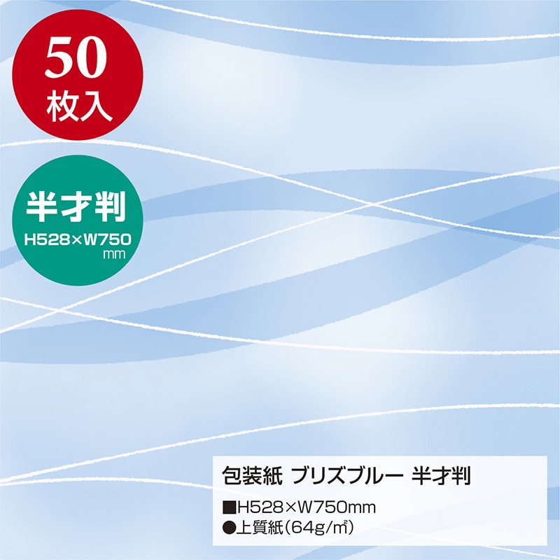直送品】 ササガワ 包装紙 ブリズブルー半才判 49－1563 50枚 1包（ご