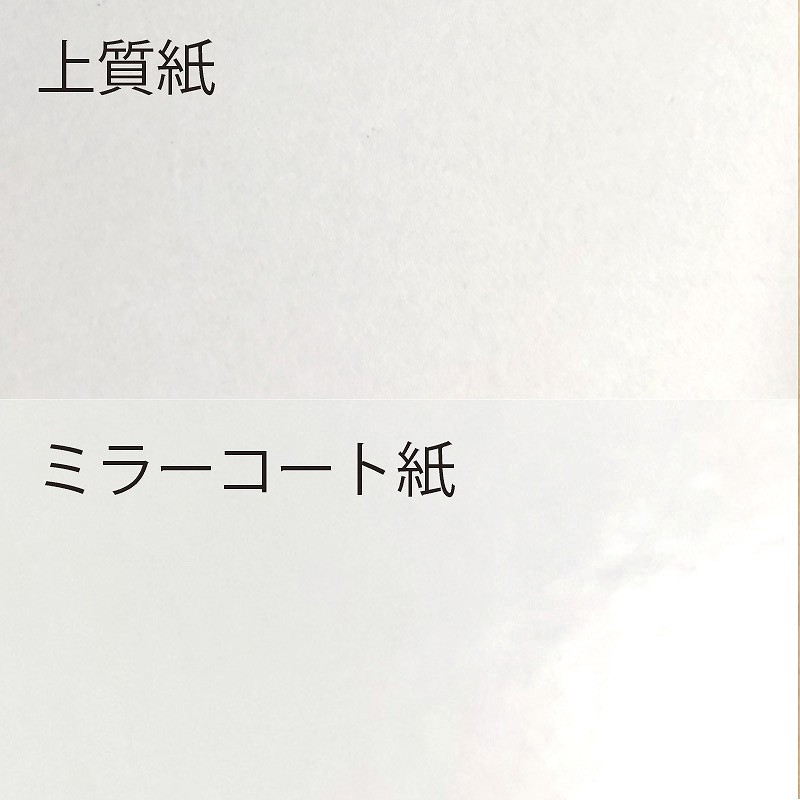 【別注品】 特注シール 角カク・カド丸　20×50 1色印刷 5000枚