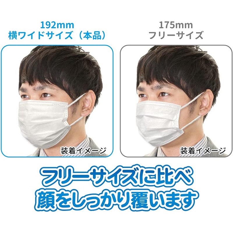 【直送品】 エスパック まっ白なやさしいマスク　AG抗菌＋ダブルフィルタ 横ワイド　個包装 RYW30 30枚入/袋（ご注文単位40袋）