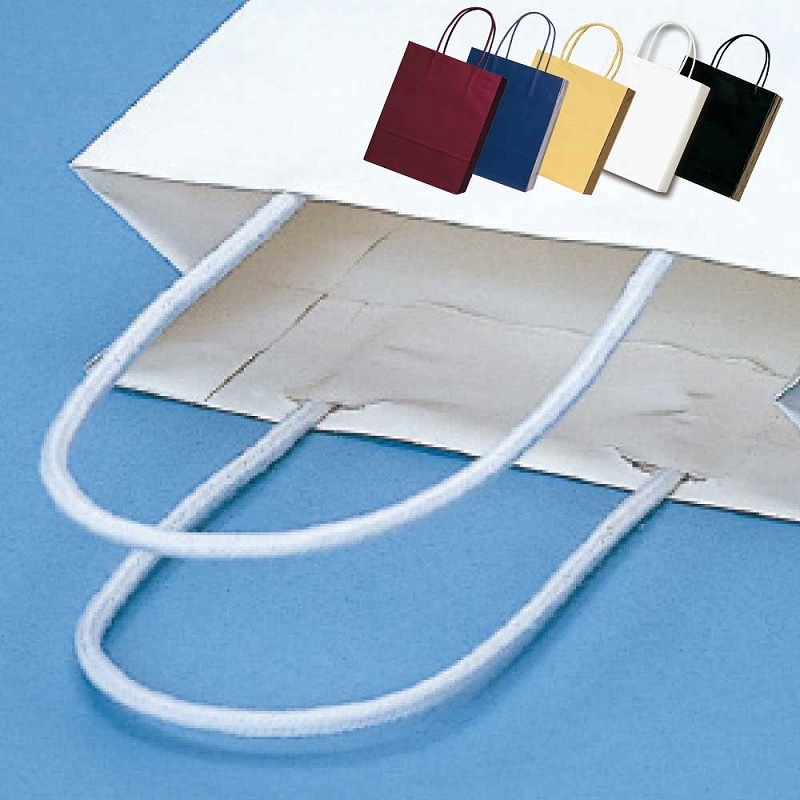 HEIKO 紙袋 PBスムースバッグ M-1 黒 10枚 4901755337778 通販 | 包装用品・店舗用品のシモジマ オンラインショップ