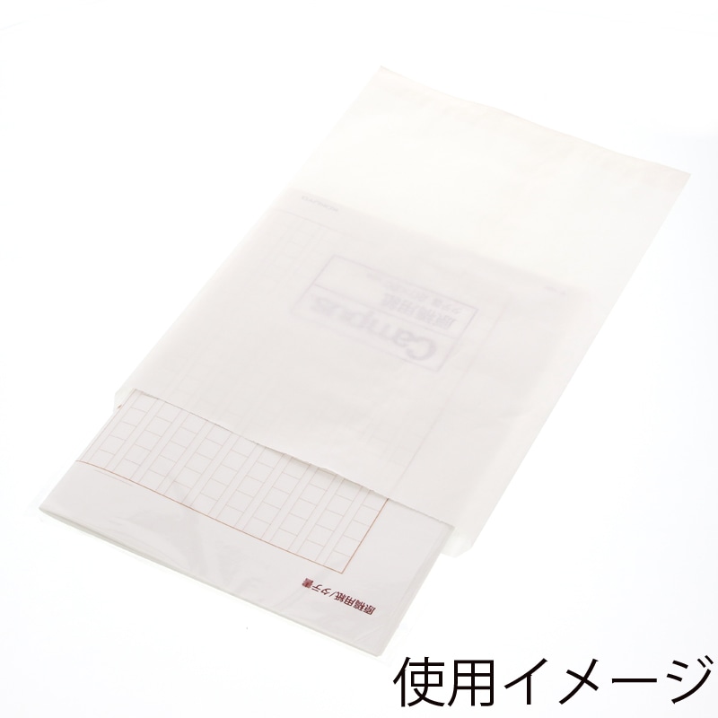 HEIKO 紙袋 純白袋 No.1 500枚