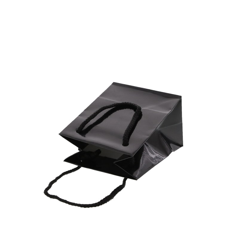 HEIKO 紙袋 ブライトバッグ T-5 黒(グロスPP貼り) 10枚
