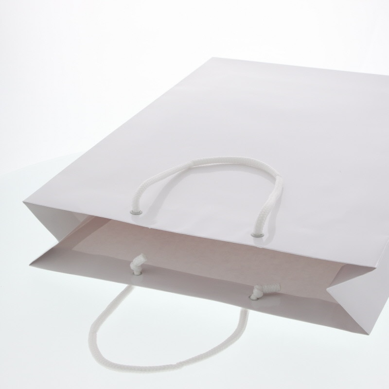 HEIKO 紙袋 ブライトバッグ G2 白 10枚