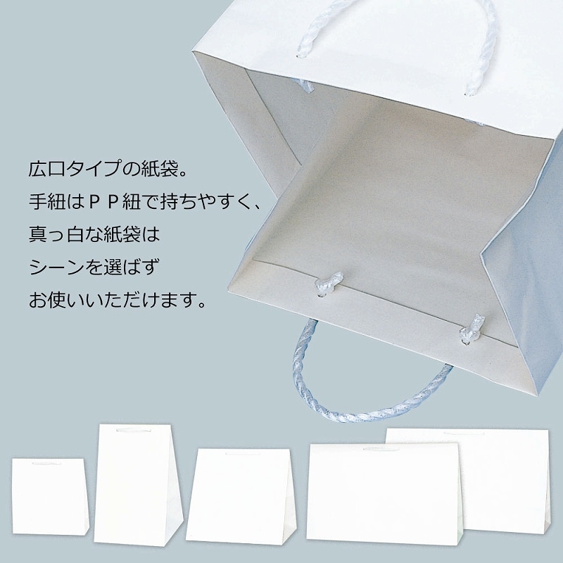 HEIKO 紙袋 広口チャームバッグ M-1 10枚 4901755590029 通販 | 包装