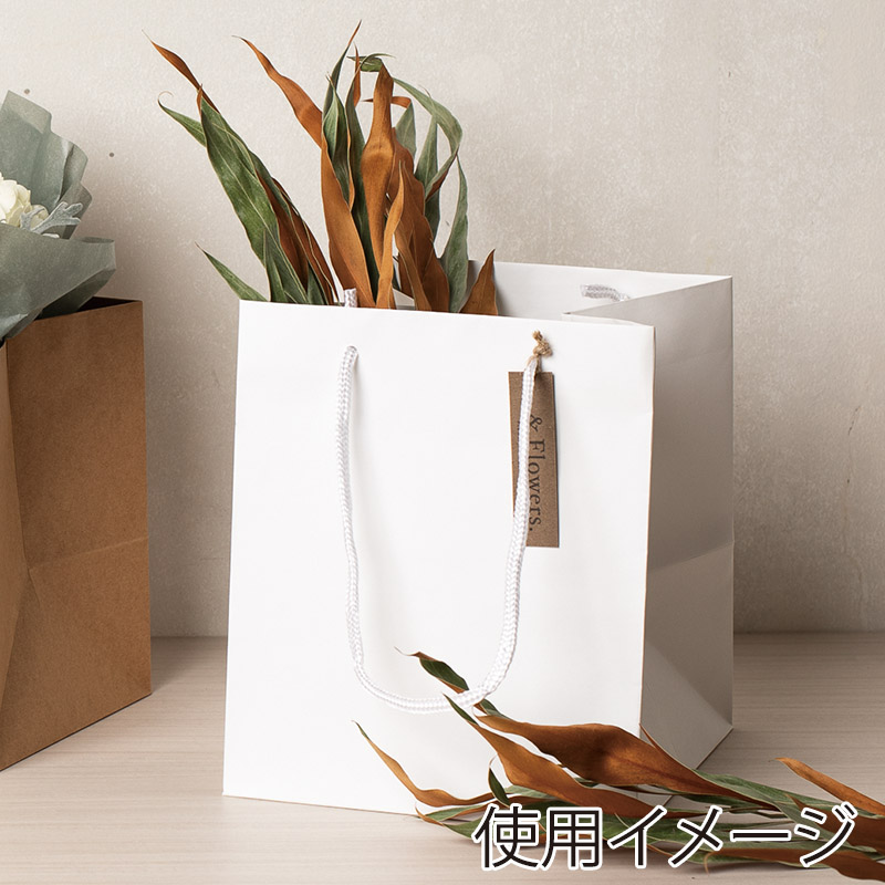 HEIKO 紙袋 アレンジバッグ S 白 NEW 10枚 4901755591613 通販 包装用品・店舗用品のシモジマ オンラインショップ
