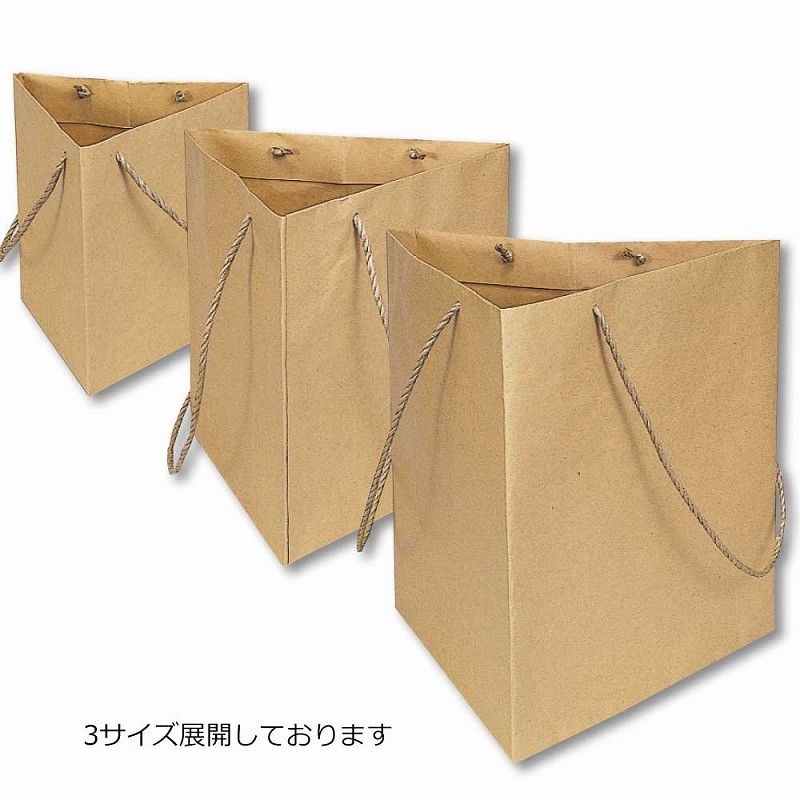 HEIKO 紙袋 トライバッグ 未晒 NO.1 10枚 4901755592139 通販 | 包装用品・店舗用品のシモジマ オンラインショップ