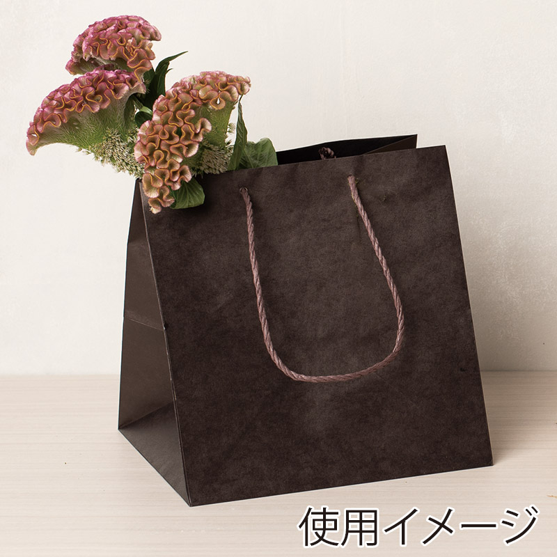HEIKO 紙袋 カラーアレンジバッグ S 焦茶 10枚 4901755592870 通販 包装用品・店舗用品のシモジマ オンラインショップ