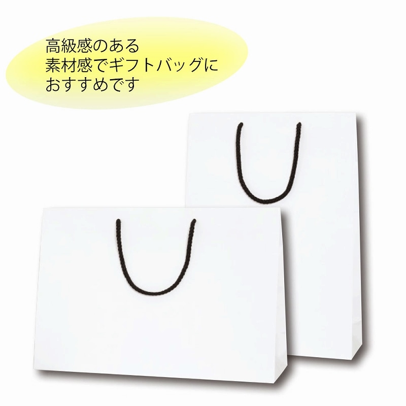HEIKO 紙袋 ブライトバッグ 45-13 白MT(マットPP貼り) 10枚