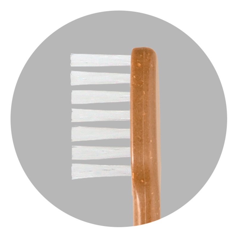 【直送品】 ファイン 竹の歯ブラシ　MEGURU ひまし樹脂毛　ふつう MBA－03 1本（ご注文単位240本）