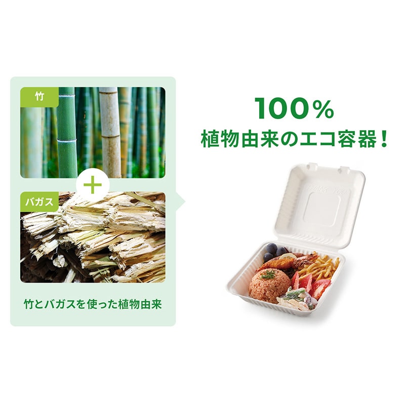 【直送品】 弁当容器　ABランチボックス 240－150－2  50枚/袋（ご注文単位5袋）