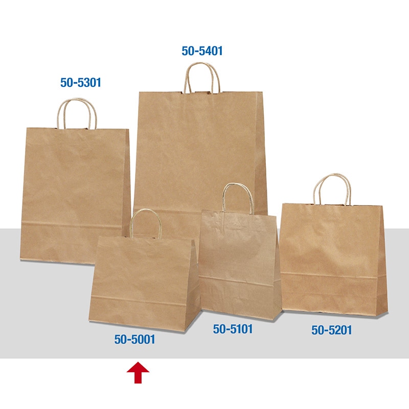 【直送品】 ササガワ 手提げ紙袋 未晒　幅広小　50枚 50－5001 1包（ご注文単位1包）
